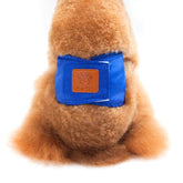 KUTKUT Male Dog Wrap Reusable Dog Diaper | Male Belly Band Washable Diaper | Physiological Sanitary Pant Curtesy Harassment Pant, Anti Urinary for Small Boy Dogs Cats (Blue) - kutkutstyle